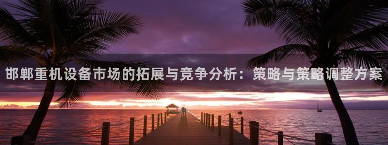天宏娱乐老男孩团队