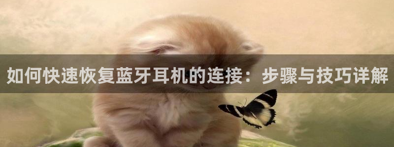天宏娱乐招商部电话