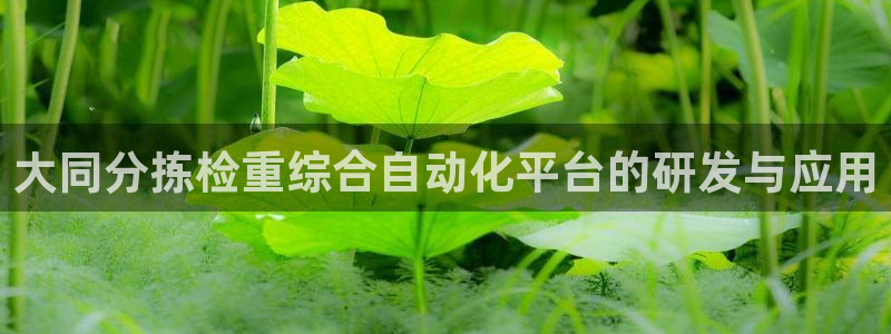 天宏娱乐2000