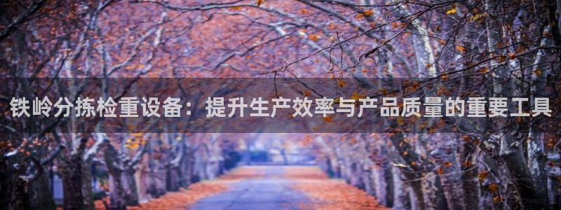 天宏娱乐丁叔