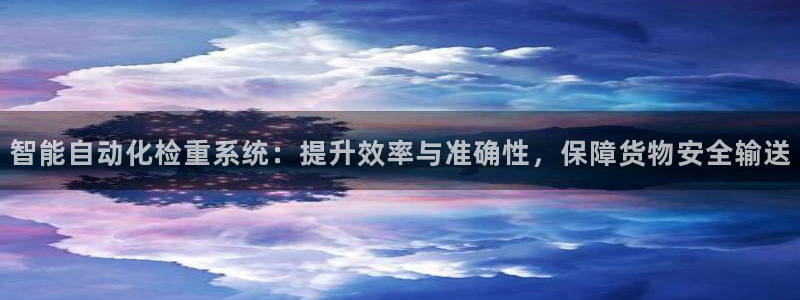 义宏娱乐林天毅：智能自动化检重系统：提升效率与准确性，保障货