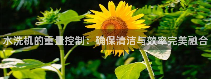 天宏集团黑骑士娱乐：水洗机的重量控制：确保清洁与效率完美融合