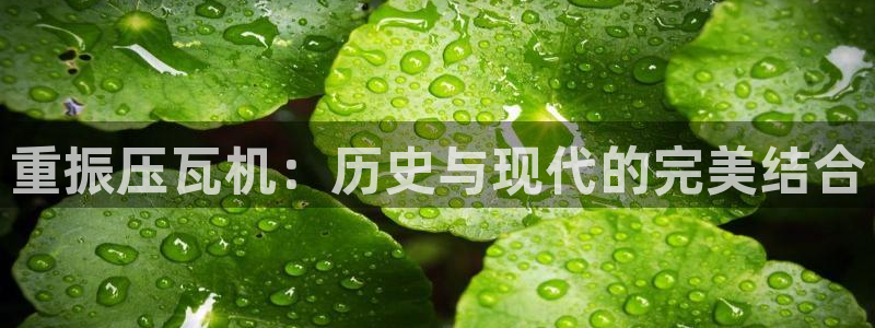 西安天宏娱乐团队：重振压瓦机：历史与现代的完美结合