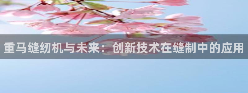 河源市天宏娱乐：重马缝纫机与未来：创新技术在缝制中的应用