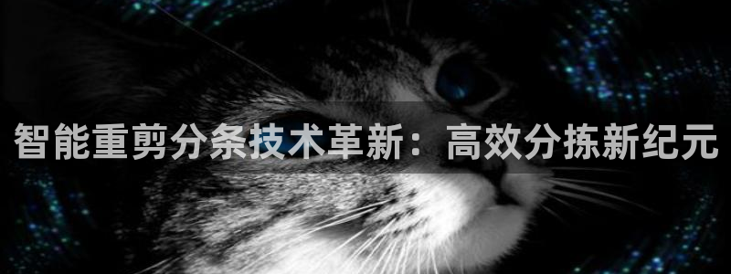 成都天宏娱乐会所地址