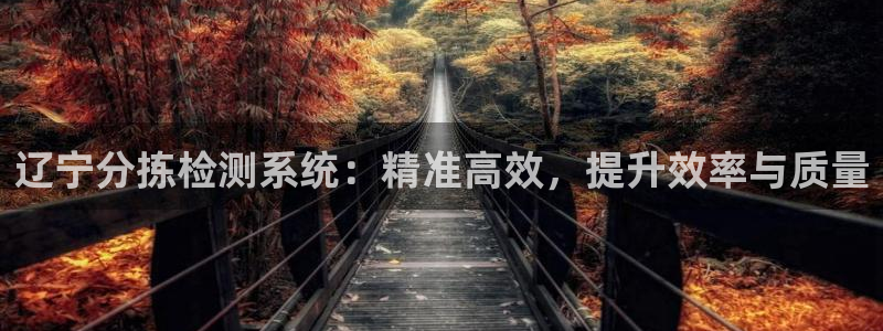 河源天宏娱乐：辽宁分拣检测系统：精准高效，提升效率与质量