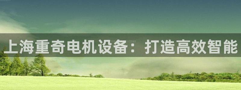 天宏娱乐老男孩文叔：上海重奇电机设备：打造高效智能