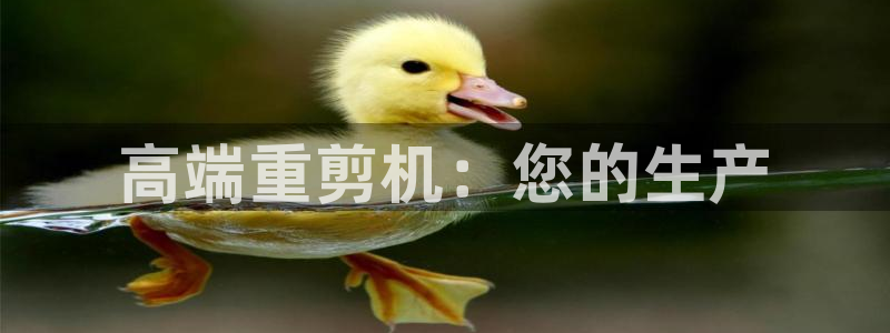 天宏娱乐q32937：高端重剪机：您的生产