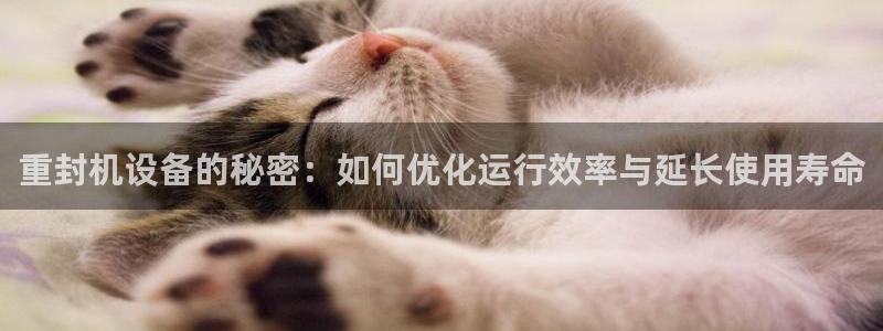 天宏娱乐总店电话多少