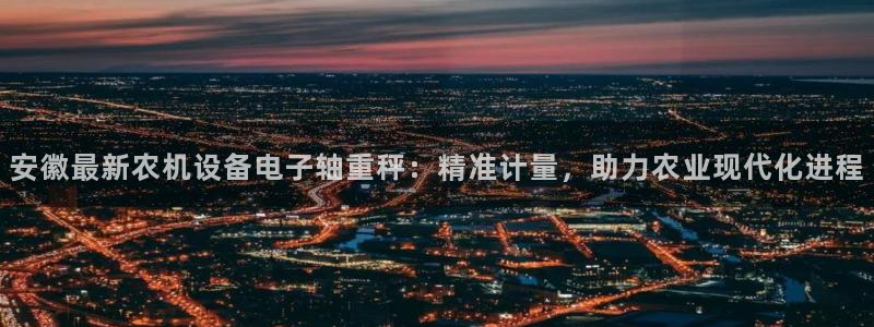 天宏娱乐小号官网首页：安徽最新农机设备电子轴重秤：精准计量，