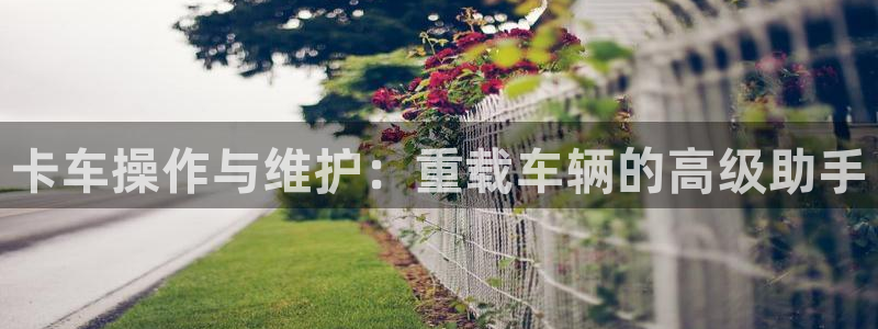 义宏娱乐林天毅