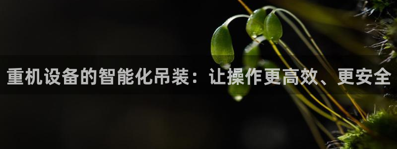 天宏娱乐军叔