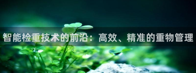 天宏娱乐代理