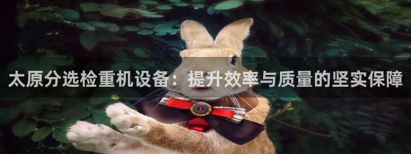 天宏娱乐大叔团队介绍视频：太原分选检重机设备：提升效率与质量