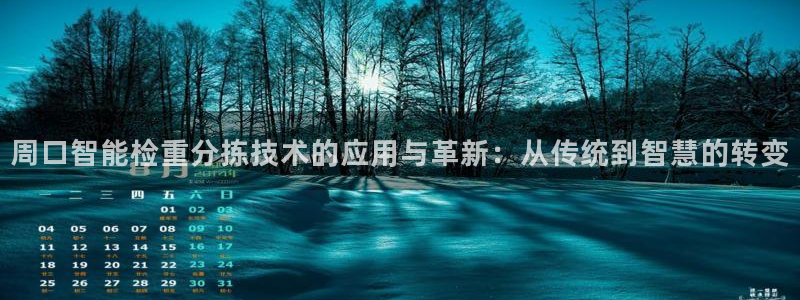 天宏娱乐指定千捷网络：周口智能检重分拣技术的应用与革新：从传
