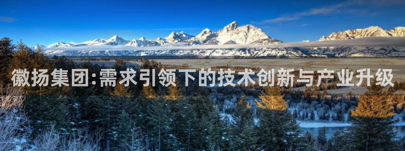 天宏娱乐老男孩董叔：徽扬集团:需求引领下的技术创新与产业升级
