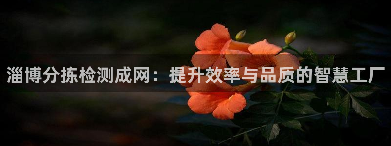 天宏娱乐胡叔