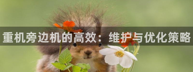 义宏娱乐林天毅：重机旁边机的高效：维护与优化策略
