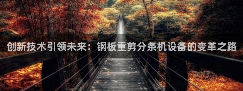 天宏娱乐男孩：创新技术引领未来：钢板重剪分条机设备的变革之路