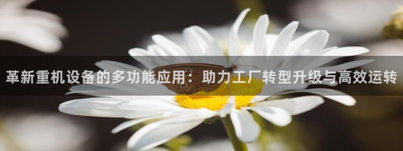 天宏娱乐app