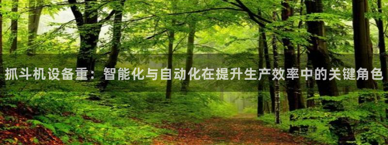 天宏娱乐河源店地址查询：抓斗机设备重：智能化与自动化在提升生