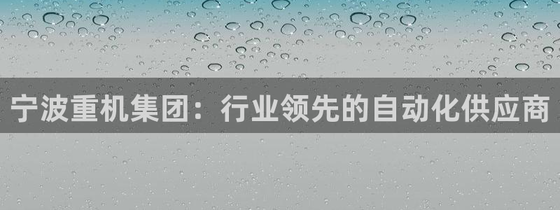 天宏娱乐晨叔：宁波重机集团：行业领先的自动化供应商