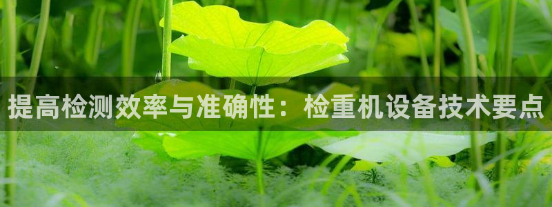 天宏娱乐i 判官：提高检测效率与准确性：检重机设备技术要点