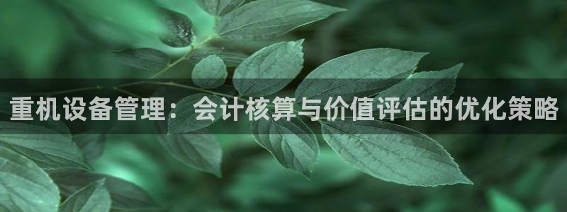东莞天宏娱乐：重机设备管理：会计核算与价值评估的优化策略