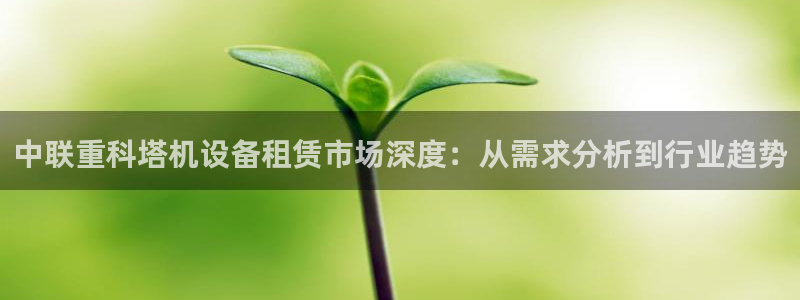 内蒙古天宏娱乐：中联重科塔机设备租赁市场深度：从需求分析到行