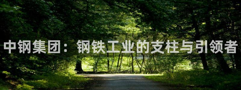 天宏娱乐无限团