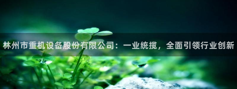 天宏娱乐青峰：林州市重机设备股份有限公司：一业统揽，全面引领