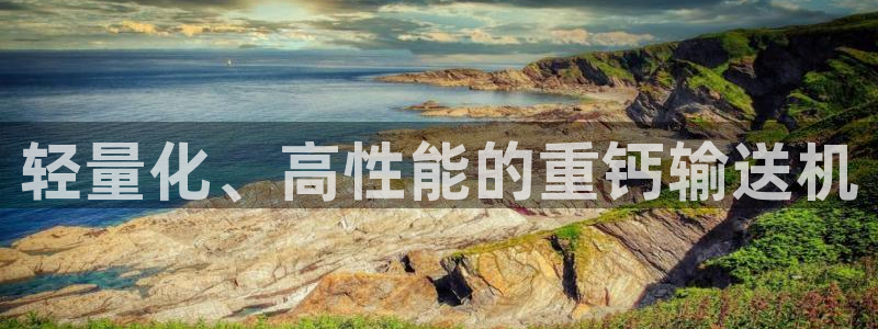 天宏娱乐地址：轻量化、高性能的重钙输送机