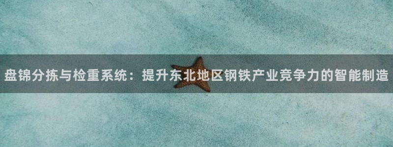 天宏娱乐h 判官：盘锦分拣与检重系统：提升东北地区钢铁产业竞