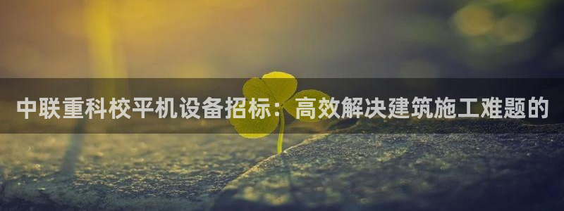 天宏娱乐直播间官网：中联重科校平机设备招标：高效解决建筑施工