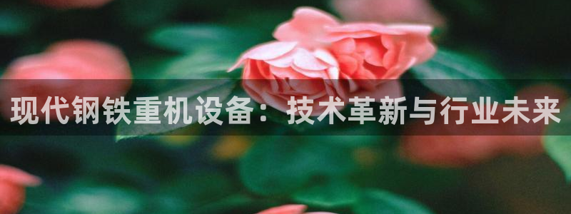 天宏2娱乐平台：现代钢铁重机设备：技术革新与行业未来