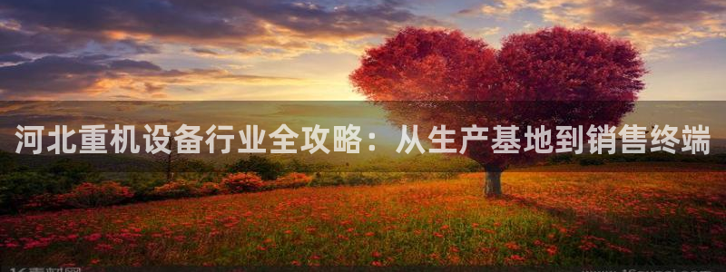 天宏娱乐app下载：河北重机设备行业全攻略：从生产基地到销售