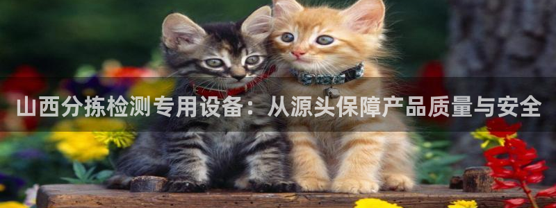 天宏娱乐张叔