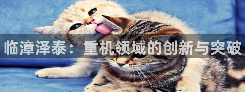 天宏3娱乐平台