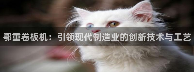 天宏娱乐总店