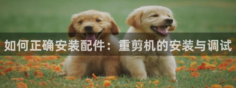 天宏娱乐团