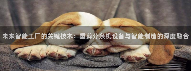 天宏娱乐实f力803466