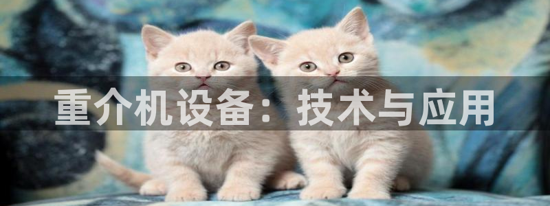 天宏娱乐张叔
