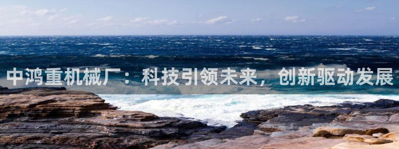 天宏娱乐天宏娱禾：中鸿重机械厂：科技引领未来，创新驱动发展