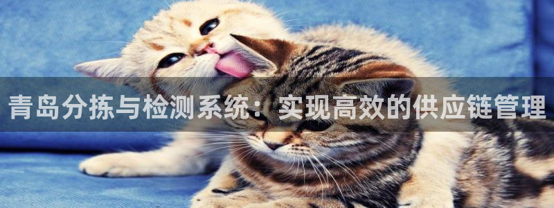 天宏娱乐直播间怎么进入