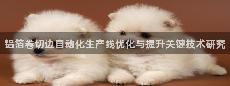 天宏娱乐平台下载：铝箔卷切边自动化生产线优化与提升关键技术研