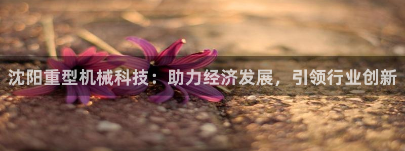 天宏娱乐丨金手指17