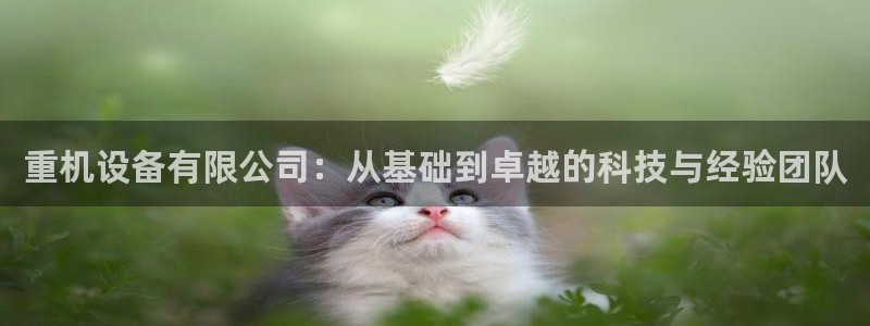 天宏娱乐言叔