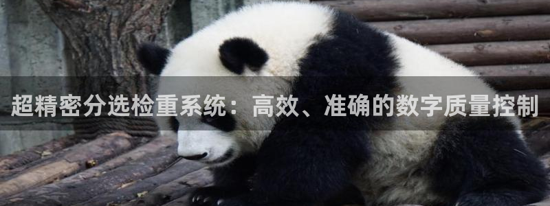 天宏娱乐直播怎么样：超精密分选检重系统：高效、准确的数字质量