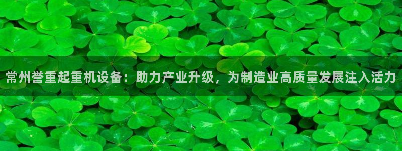 天宏娱乐男孩：常州誉重起重机设备：助力产业升级，为制造业高质