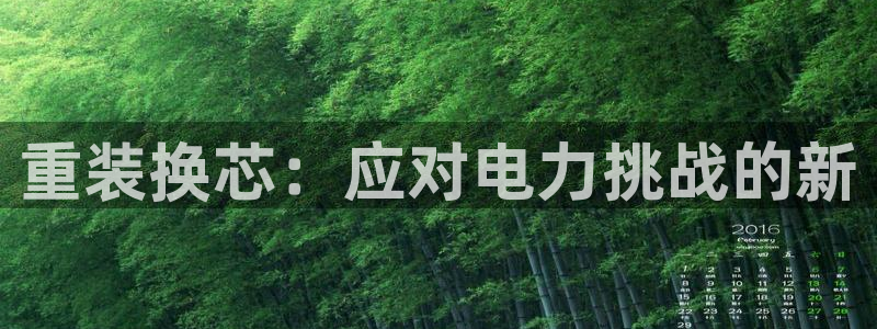 常平天宏娱乐会所电话：重装换芯：应对电力挑战的新